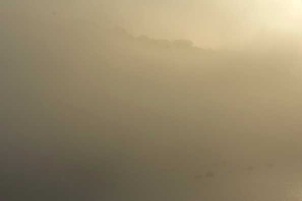 06 September 2021 - 07-48-34

-------------------
Sun & mist on the river Dart